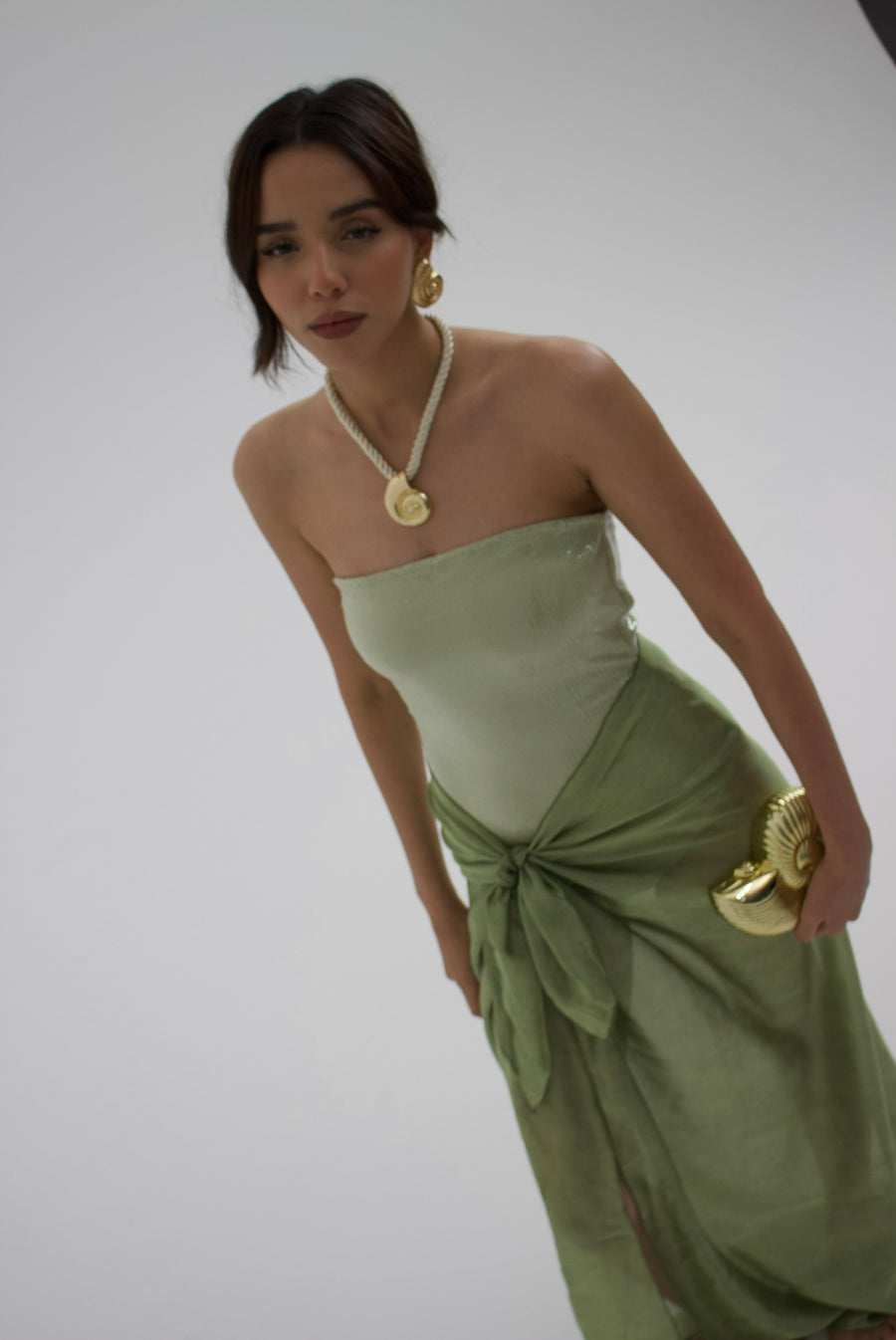 seashell set